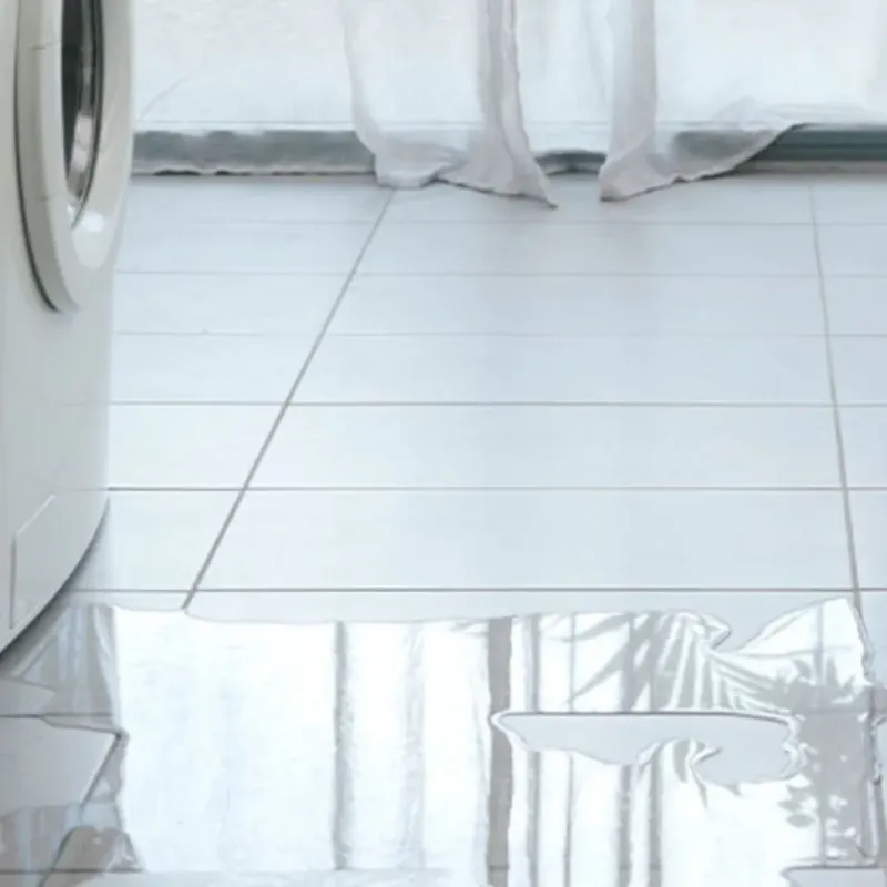 Appliance Leak Cleanup in Three Oaks, FL