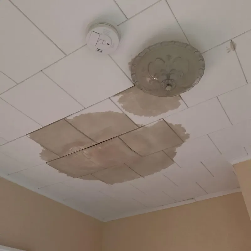 Ceiling Water Damage Repair in Three Oaks, FL