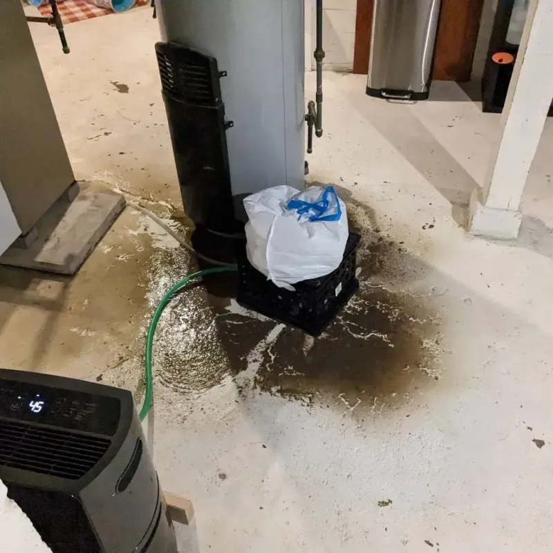 Sewage Backup Cleanup Service in Three Oaks, FL